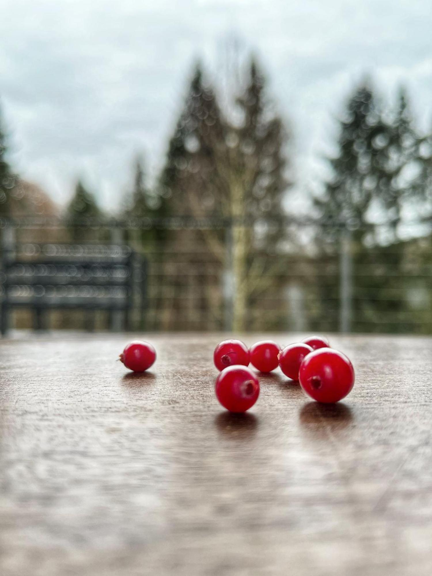 Vila Rudle Swierkocin  Exteriér fotografie